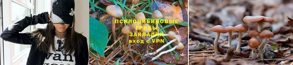 мескалин Няндома