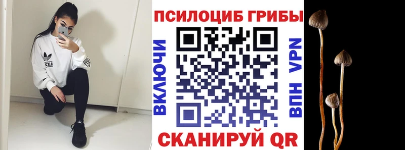 купить наркотик  Цимлянск  Псилоцибиновые грибы прущие грибы 